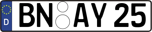 BN-AY25