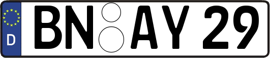 BN-AY29
