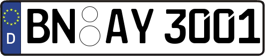 BN-AY3001