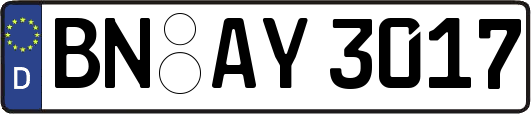 BN-AY3017