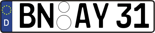 BN-AY31