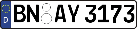 BN-AY3173
