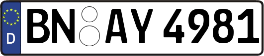 BN-AY4981