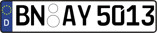 BN-AY5013