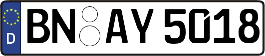 BN-AY5018