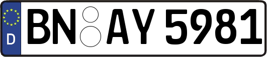 BN-AY5981