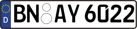 BN-AY6022