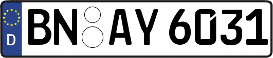 BN-AY6031