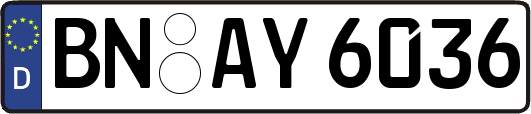 BN-AY6036