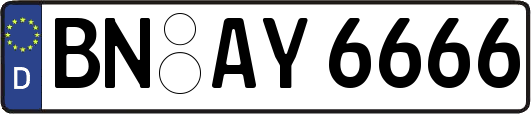 BN-AY6666