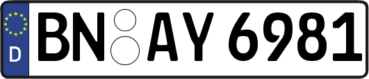 BN-AY6981