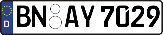 BN-AY7029