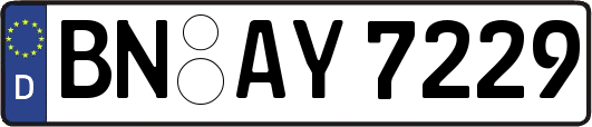BN-AY7229