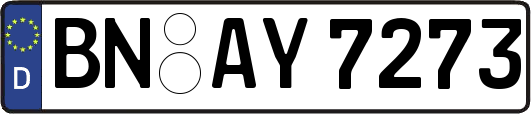 BN-AY7273