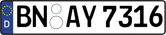 BN-AY7316