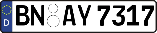 BN-AY7317