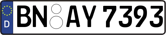 BN-AY7393