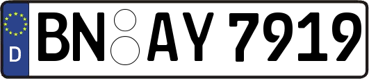 BN-AY7919