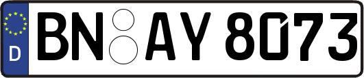 BN-AY8073