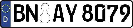 BN-AY8079