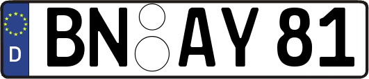 BN-AY81