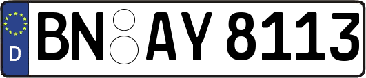 BN-AY8113