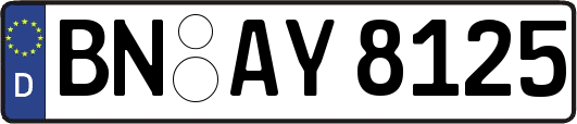 BN-AY8125
