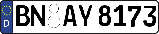 BN-AY8173