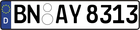 BN-AY8313