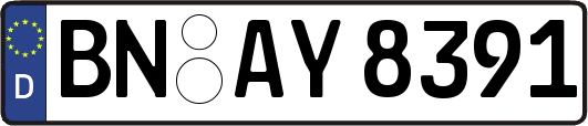 BN-AY8391