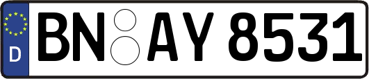 BN-AY8531