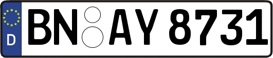 BN-AY8731