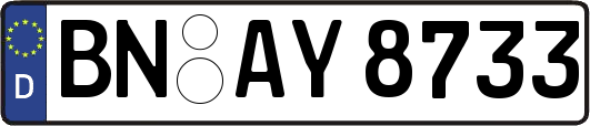 BN-AY8733