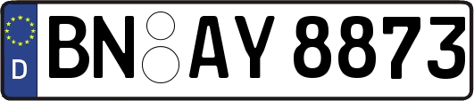 BN-AY8873