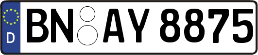 BN-AY8875