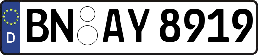 BN-AY8919
