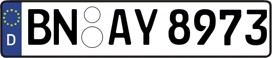 BN-AY8973