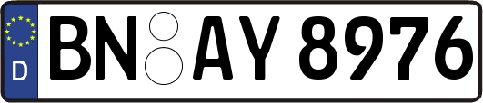 BN-AY8976
