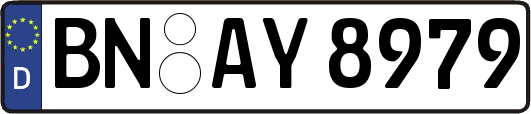 BN-AY8979