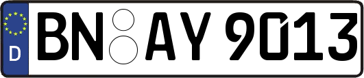 BN-AY9013