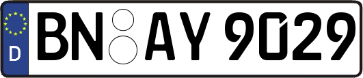 BN-AY9029