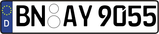 BN-AY9055