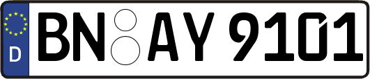 BN-AY9101
