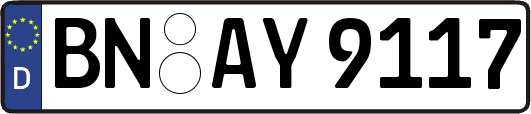 BN-AY9117