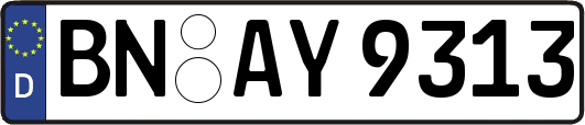 BN-AY9313