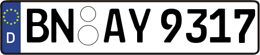BN-AY9317