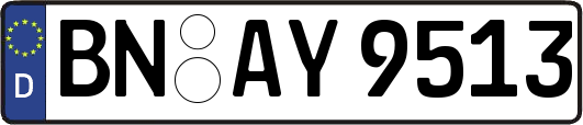 BN-AY9513