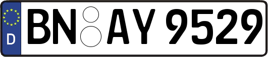 BN-AY9529
