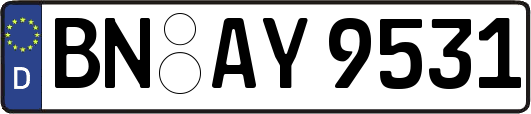 BN-AY9531