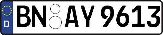 BN-AY9613